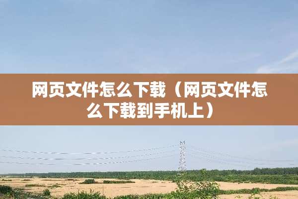 网页文件怎么下载（网页文件怎么下载到手机上）
