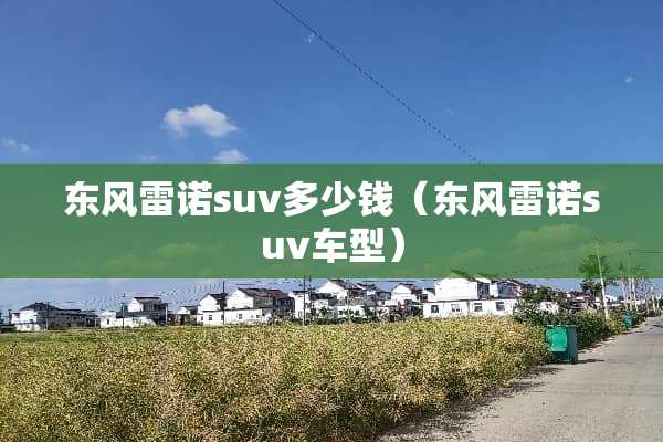 东风雷诺suv多少钱（东风雷诺suv车型）