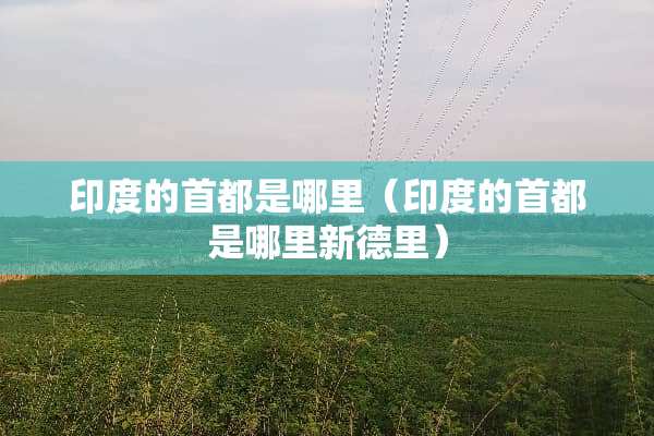 印度的首都是哪里（印度的首都是哪里新德里）