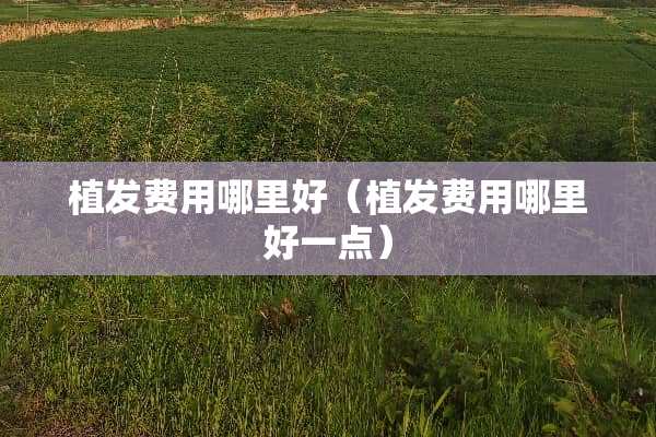 植发费用哪里好（植发费用哪里好一点）