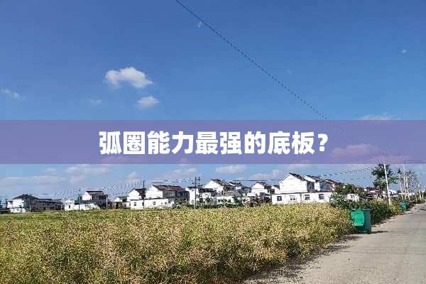 弧圈能力最强的底板？