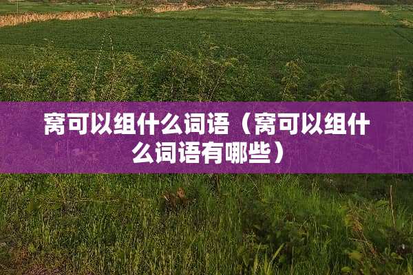 窝可以组什么词语（窝可以组什么词语有哪些）