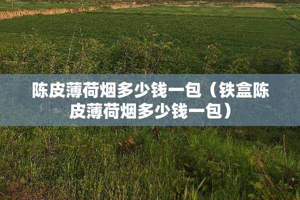 陈皮薄荷烟多少钱一包（铁盒陈皮薄荷烟多少钱一包）