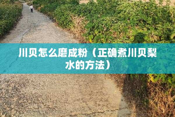 川贝怎么磨成粉（正确煮川贝梨水的方法）