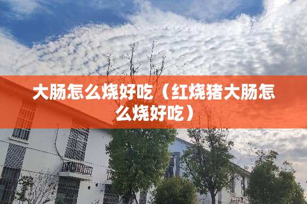 大肠怎么烧好吃（红烧猪大肠怎么烧好吃）