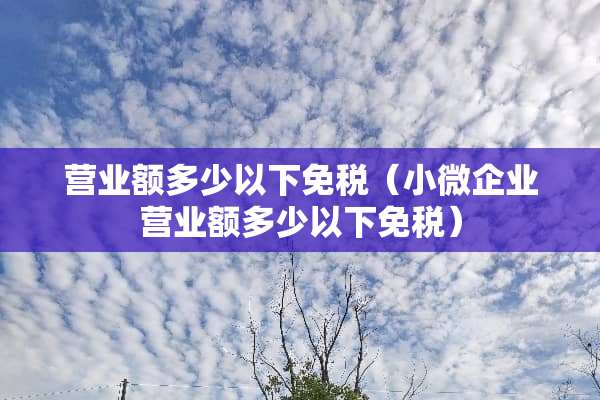 营业额多少以下免税（小微企业营业额多少以下免税）