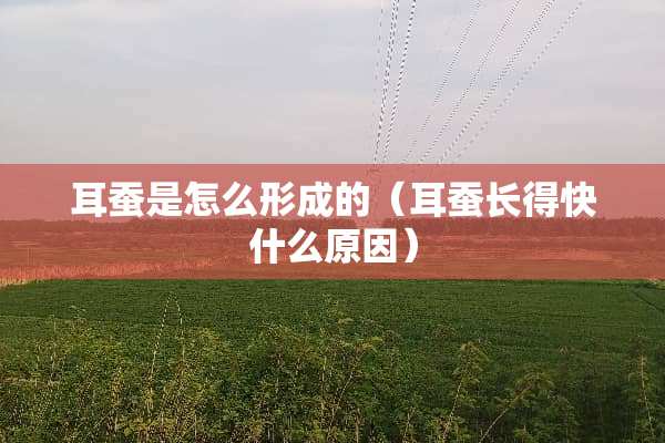 耳蚕是怎么形成的（耳蚕长得快什么原因）