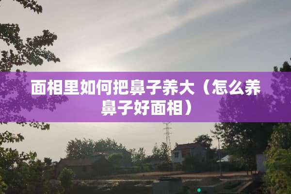 面相里如何把鼻子养大（怎么养鼻子好面相）