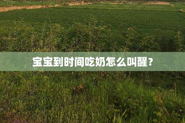宝宝到时间吃奶怎么叫醒？