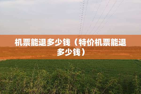 机票能退多少钱（特价机票能退多少钱）