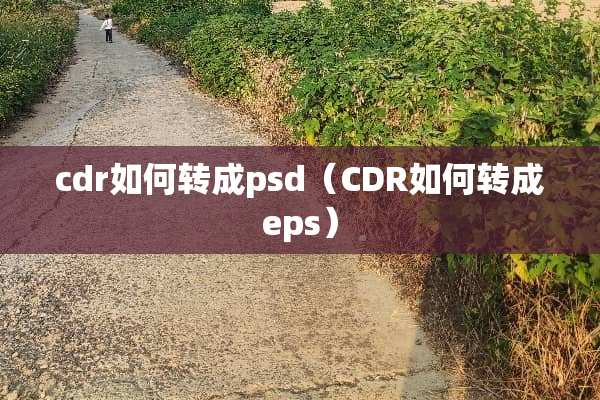 cdr如何转成psd（CDR如何转成eps）