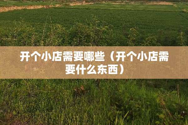 开个小店需要哪些（开个小店需要什么东西）
