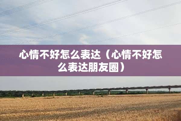心情不好怎么表达（心情不好怎么表达朋友圈）