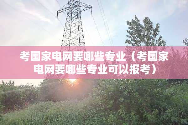 考国家电网要哪些专业（考国家电网要哪些专业可以报考）