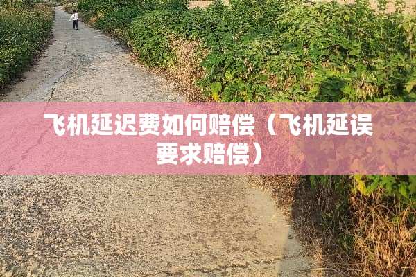 飞机延迟费如何赔偿（飞机延误要求赔偿）