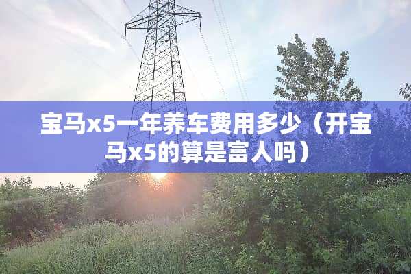 宝马x5一年养车费用多少（开宝马x5的算是富人吗）