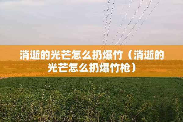 消逝的光芒怎么扔爆竹（消逝的光芒怎么扔爆竹*）
