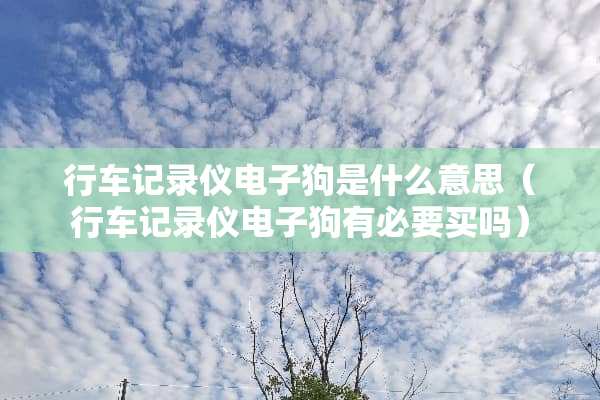 行车记录仪***是什么意思（行车记录仪***有必要买吗）