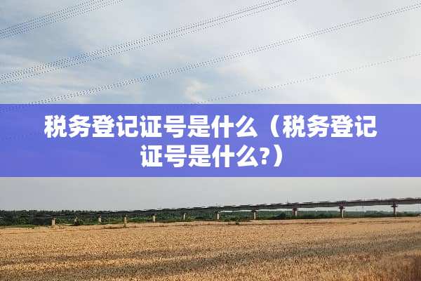 税务登记证号是什么（税务登记证号是什么?）