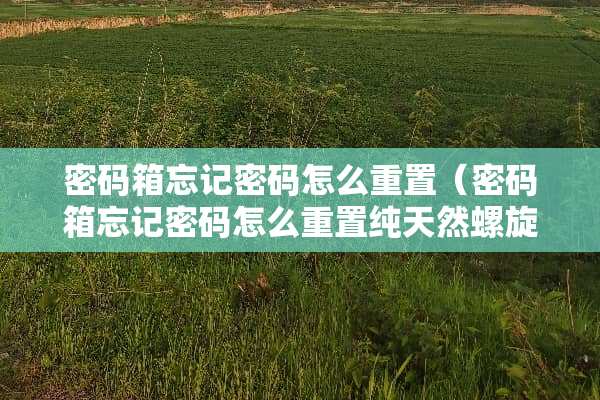 密码箱忘记密码怎么重置（密码箱忘记密码怎么重置纯天然螺旋藻）