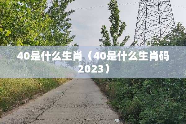 40是什么生肖（40是什么生肖码2023）