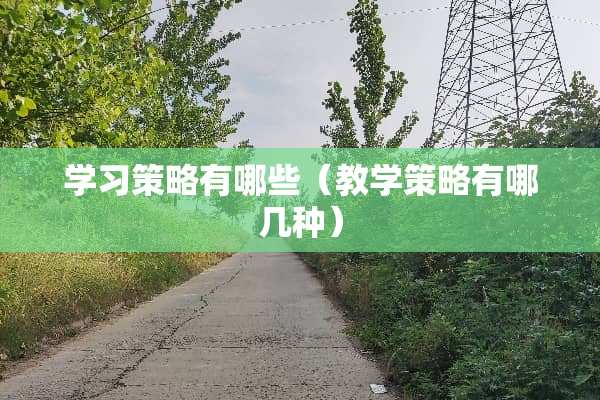 学习策略有哪些（教学策略有哪几种）