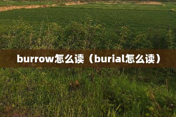 burrow怎么读（burial怎么读）