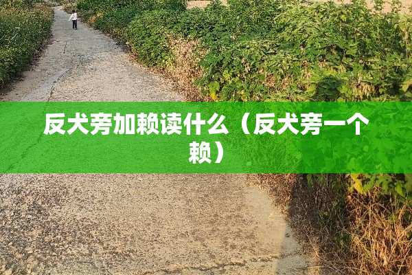 反犬旁加赖读什么（反犬旁一个赖）