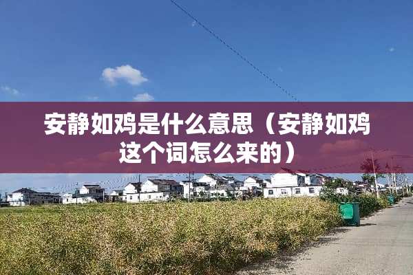 安静如鸡是什么意思（安静如鸡这个词怎么来的）