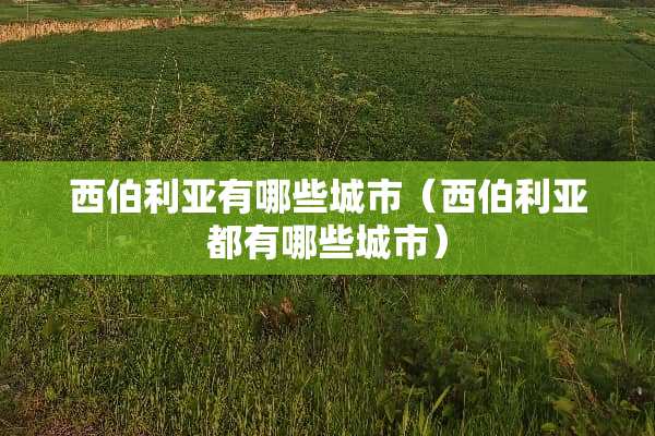 西伯利亚有哪些城市（西伯利亚都有哪些城市）