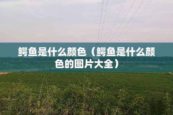 鳄鱼是什么颜色（鳄鱼是什么颜色的图片大全）