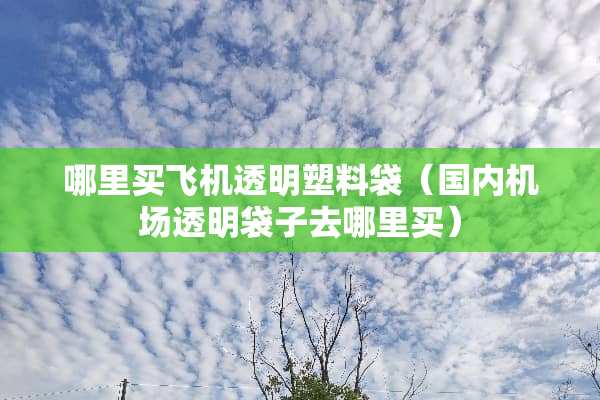 哪里买飞机透明塑料袋（国内机场透明袋子去哪里买）
