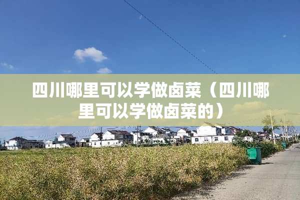 四川哪里可以学做卤菜（四川哪里可以学做卤菜的）
