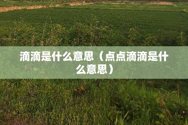 滴滴是什么意思（点点滴滴是什么意思）