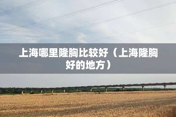 上海哪里隆胸比较好（上海隆胸好的地方）