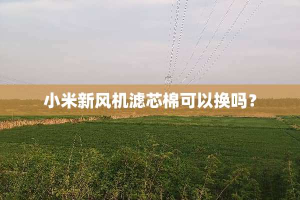 小米新风机滤芯棉可以换吗？