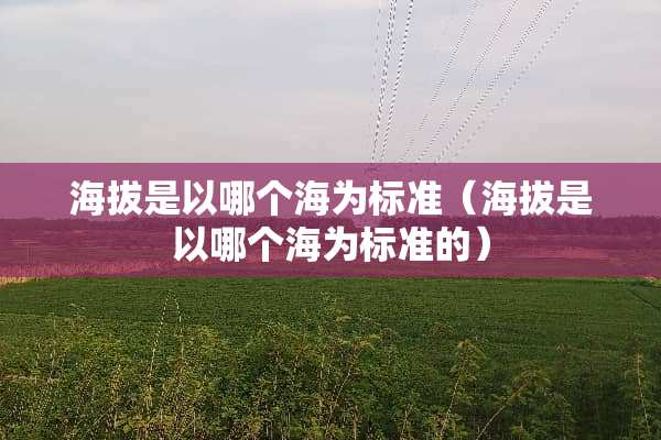 海拔是以哪个海为标准（海拔是以哪个海为标准的）