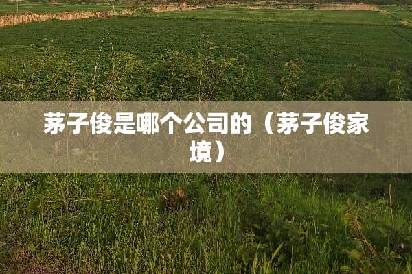 茅子俊是哪个公司的（茅子俊家境）