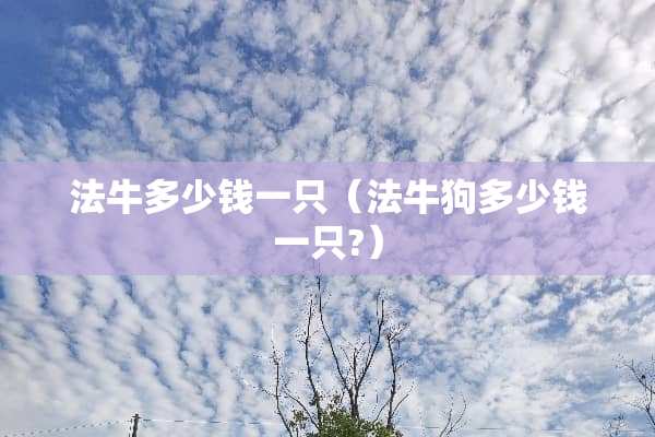法牛多少钱一只（法牛狗多少钱一只?）