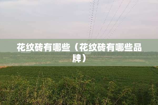 花纹砖有哪些（花纹砖有哪些品牌）