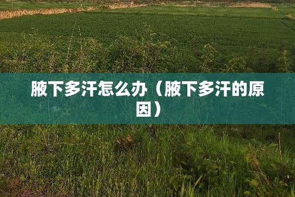 腋下多汗怎么办（腋下多汗的原因）