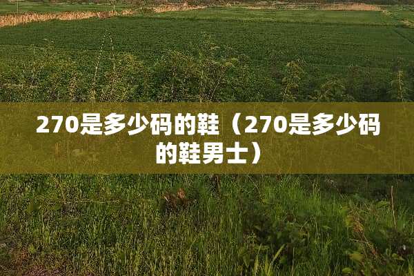 270是多少码的鞋（270是多少码的鞋男士）