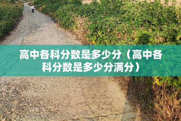 高中各科分数是多少分（高中各科分数是多少分满分）