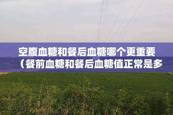 空腹血糖和餐后血糖哪个更重要（餐前血糖和餐后血糖值正常是多少）