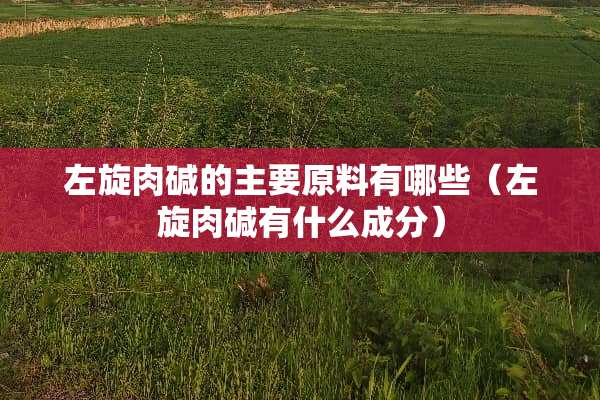 左旋肉碱的主要原料有哪些（左旋肉碱有什么成分）