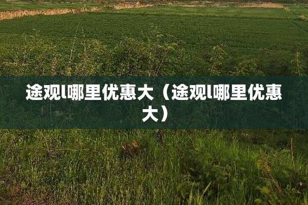 途观l哪里优惠大（途观l哪里优惠大）