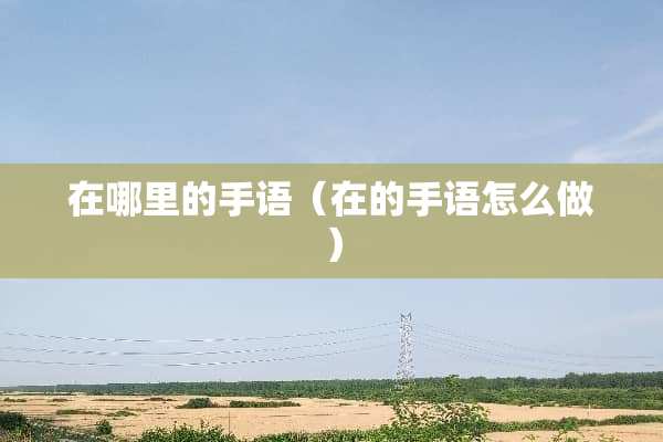 在哪里的手语（在的手语怎么做）