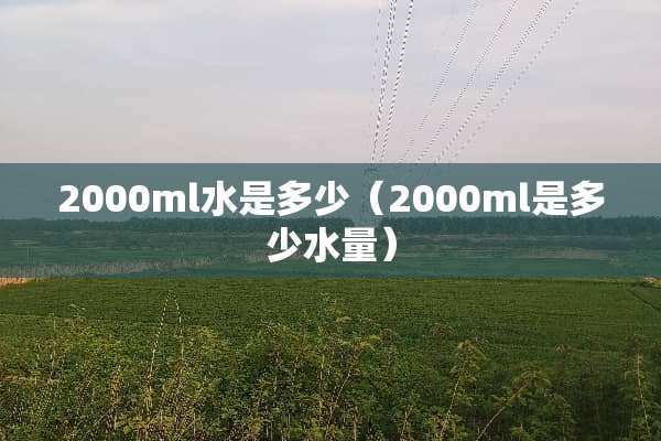 2000ml水是多少（2000ml是多少水量）