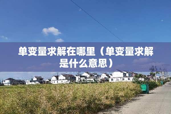 单变量求解在哪里（单变量求解是什么意思）
