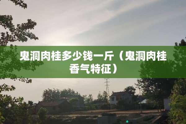 鬼洞肉桂多少钱一斤（鬼洞肉桂香气特征）